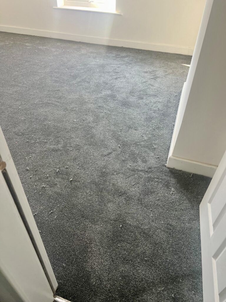 f8cd5307-e1e4-4469-b9f4-f3d9e549f6a5